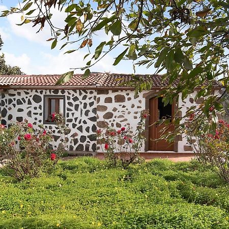 Ferienwohnung La Casita De Abuela Paula Valleseco Exterior foto